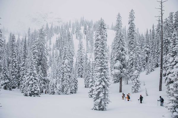 group_ferniebc_gabelheureux_2422-width-990