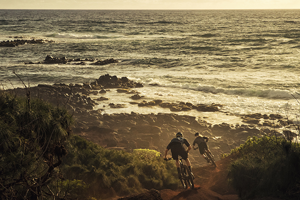 roscoe8_21583_a_accessory2