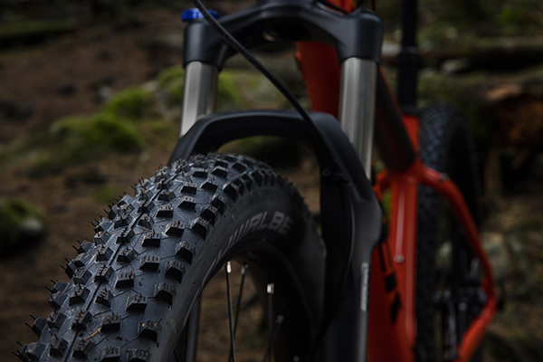 roscoe8_21583_a_alt2