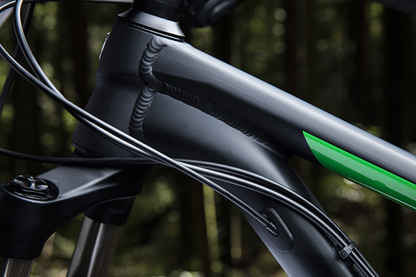 roscoe9_21618_a_alt4