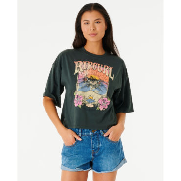 107641_04awte_8264-1