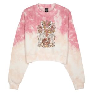 sca-wcr-0539 sca-wcr-0539