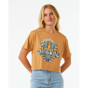 133091_0b8wte_0297-1