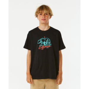 140376_05fbte_0090-1