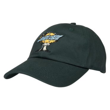 sca-cap-0505