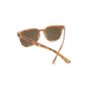 affordable-sunglasses-blonde-tortoise-amber-pasorobles-back affordable-sunglasses-blonde-tortoise-amber-pasorobles-back