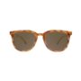 affordable-sunglasses-blonde-tortoise-amber-pasorobles-front affordable-sunglasses-blonde-tortoise-amber-pasorobles-front