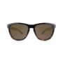 affordable-sunglasses-tortoise-fade-amber-premiums-front