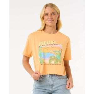 0fhwte_8222_6 0fhwte_8222_6