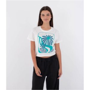 wtssp24zen_mar_01 wtssp24zen_mar_01