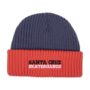 santa-cruz-youth-screaming-connect-beanie