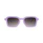pnag3406-affordable-sunglasses-hey-ube-panoramas-1