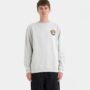 sca-crw-9920-santa-cruz-obrien-skull-crew-bluza-mist-5