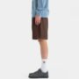 sca-shr-5643-santa-cruz-big-shorts-shorti-sepia-brown-3