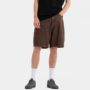 sca-shr-5643-santa-cruz-big-shorts-shorti-sepia-brown-5