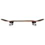 tss-com-0605-tony-hawk-ss-180-complete-%d1%81%d0%ba%d0%b5%d0%b9%d1%82%d0%b1%d0%be%d1%80%d0%b4-eagle-logo-7-75-pink2