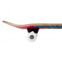 tss-com-0605-tony-hawk-ss-180-complete-%d1%81%d0%ba%d0%b5%d0%b9%d1%82%d0%b1%d0%be%d1%80%d0%b4-eagle-logo-7-75-pink4