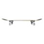 tss-com-0622-tony-hawk-ss-180-complete-%d1%81%d0%ba%d0%b5%d0%b9%d1%82%d0%b1%d0%be%d1%80%d0%b4-rotten-7-375-in-multi4