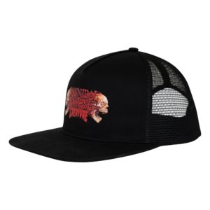 44442360_161980_84451_cannibal_corpse_snapback_structured_unisex_creature_hat_color_black_1800x