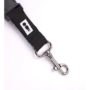 lanyard