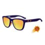 nba-phoenix-suns-premiums-flyover-logo