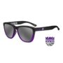 nba-sacramento-kings-premiums-flyover-logo