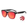 nba-toronto-raptors-premiums-flyover-logo