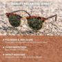 image-gallery-brooklines-matte-tortoise-shell-and-gold-blav3408_1_lenses