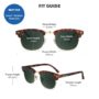 image-gallery-brooklines-matte-tortoise-shell-and-gold-blav3408_3_fitguide